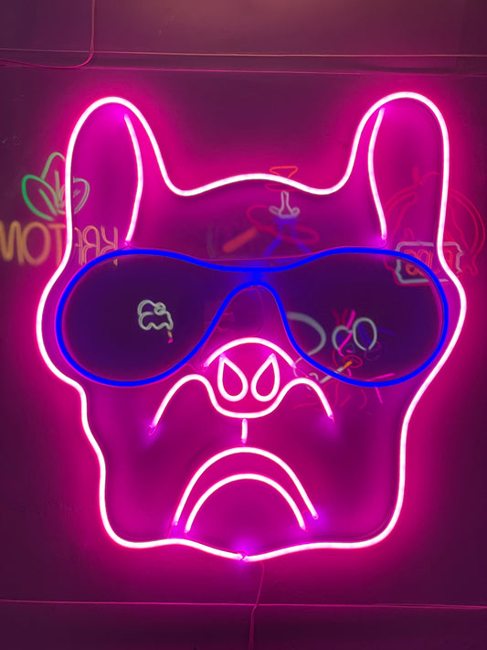 Pitbull With Glasses